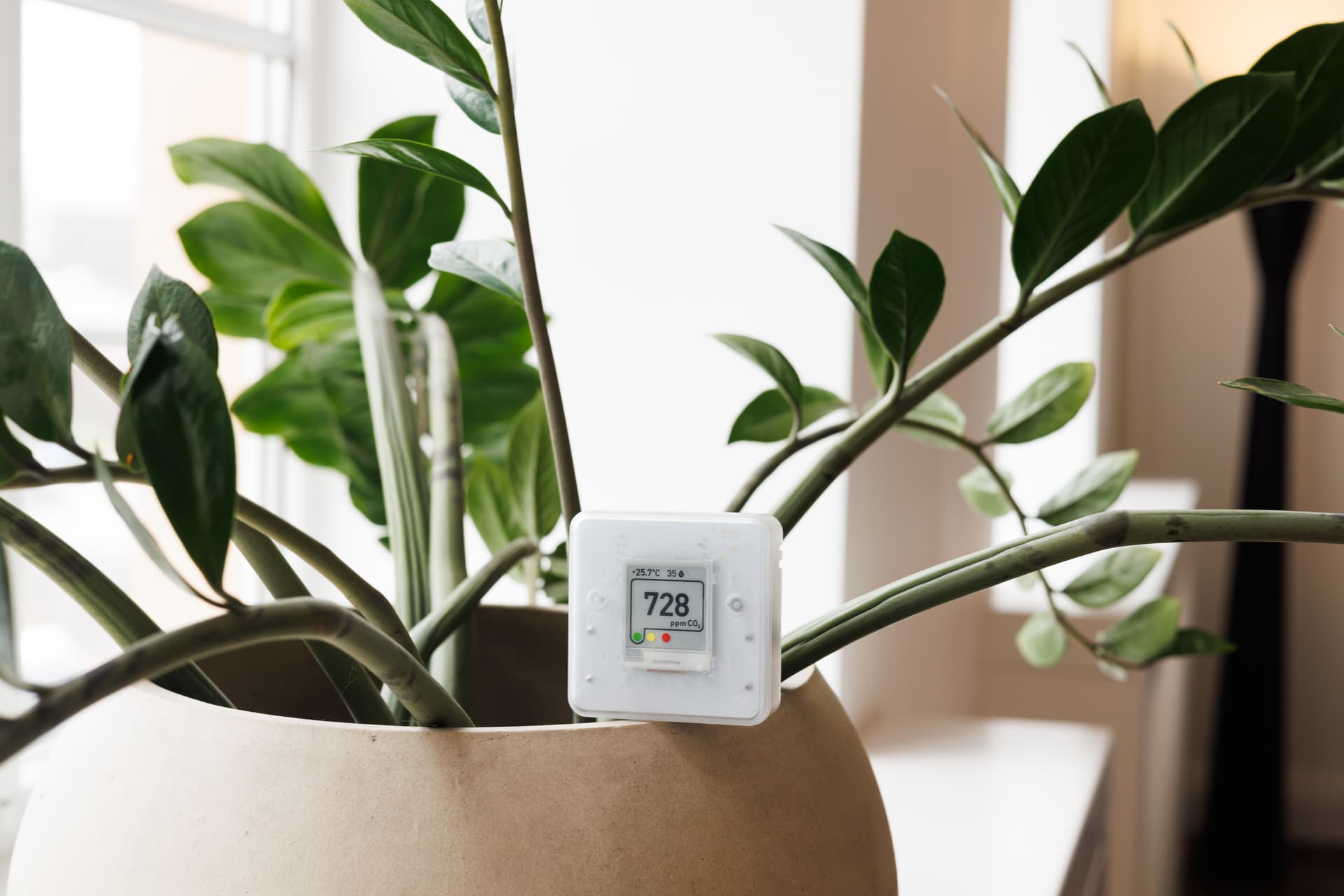 Blog post Understanding Indoor Air Quality: Essential Health Guide image